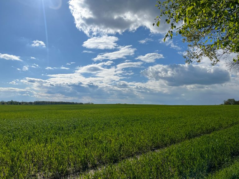 in der Nähe